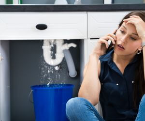 About Emergency plumbing pros Ladd, IL